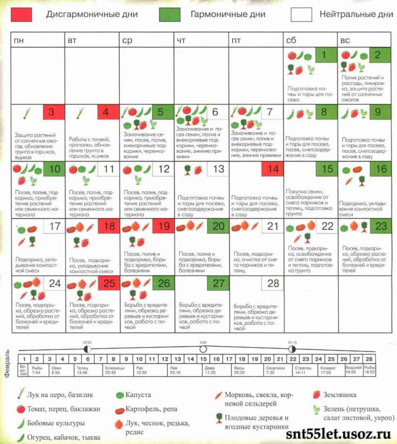 Посадочный календарь на март 2024 помидоры