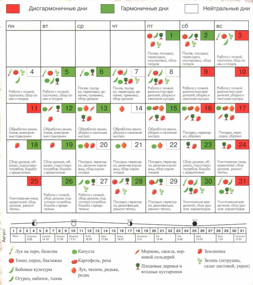 Лунный календарь огородника сентября
